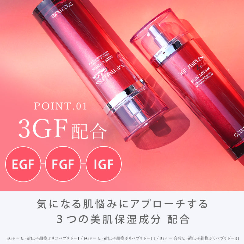 エボリューション２点セット